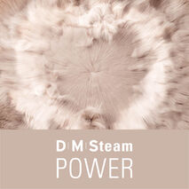 Die Dry Microfine Steam (DMS) Technologie von Laurastar